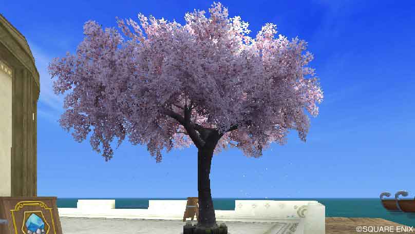 桜の木・桃