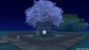 桜の木の家(夜)